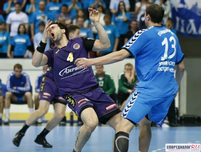 учёные медведи команда. гандбол. спорт чеховских медведей. дмитрий волков волейболист зенит казань. чеховские медведи гандбол.