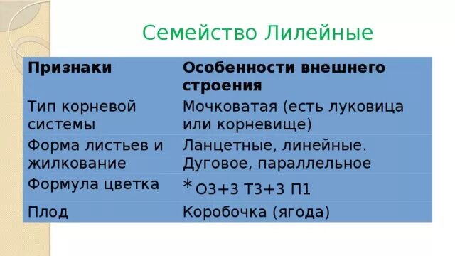 Семейство Лилейные Тип корневой системы. Семейство Лилейные особенности строения. Формула цветка о3+3т3+3п1 соответствует:. 03+3т3+3п1 формула цветка. Формула о3 3т3 3п1