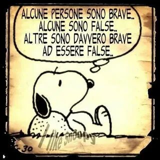 False son