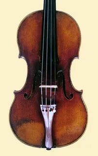 Viole