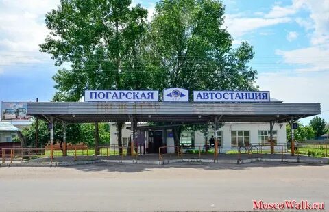 Расписание автобусов погар брянск на завтра