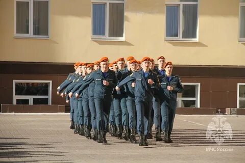 Провести смотр