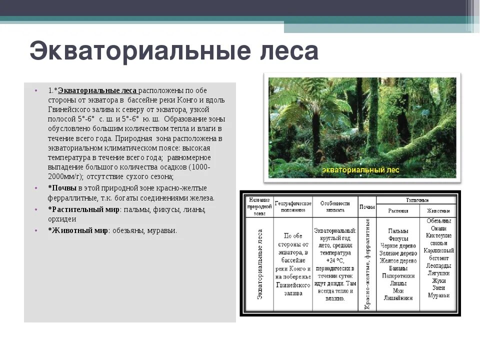 Таблица по биологии природные зоны. Таблица животные тропического леса Африки. Природная зона влажные экваториальные леса таблица. Влажные тропические леса таблица. Природные зоны Африки таблица 7 класс влажные экваториальные леса.