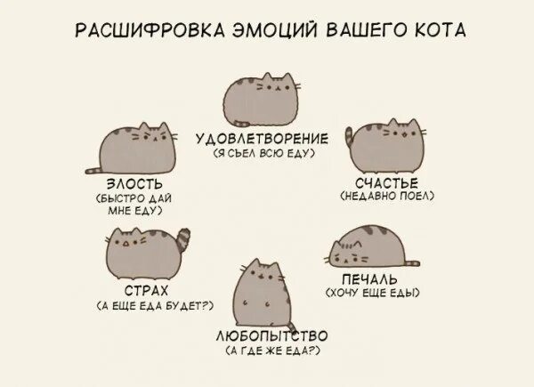 Хз расшифровка. Хз чё за группа. Hs расшифровка. Hs расшифровка. Расшифровка маркировки свечей ngk.
