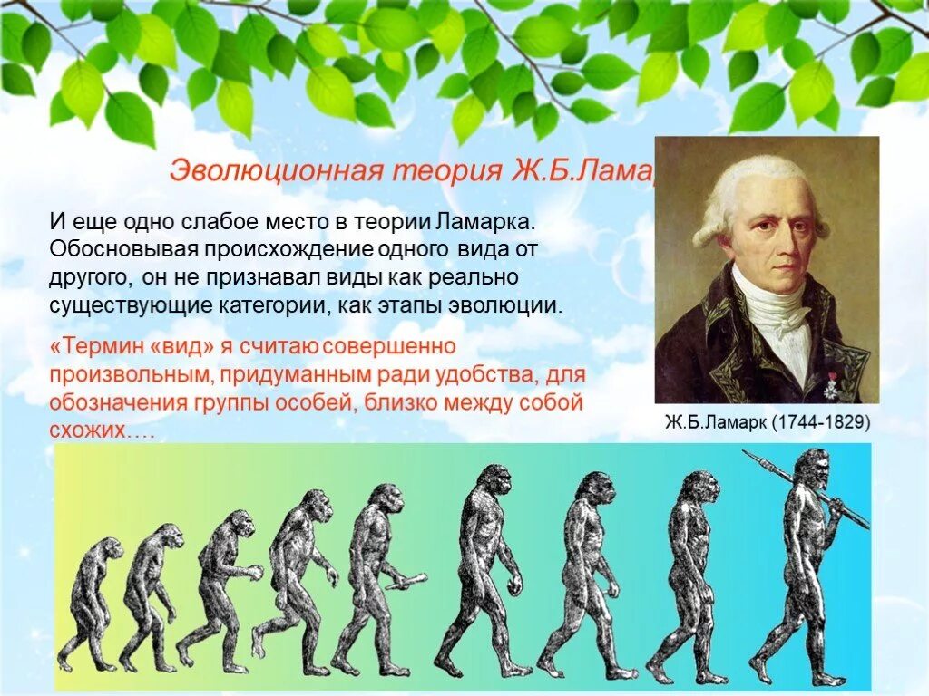 Эволюционная теория ж б Ламарка 9. Теория эволюции биология Ламарк. Семинар эволюционная теория ж б Ламарка 9 класс.