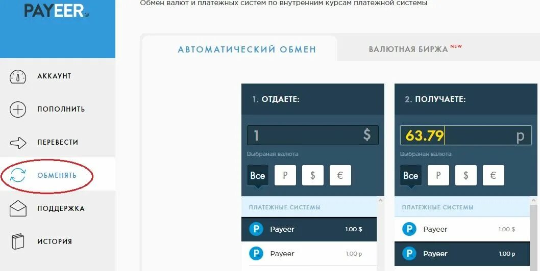 Сайт обменен. Payeer платежная система. Payeer платежная форма на сайте. Платежный шаблон в Payeer.