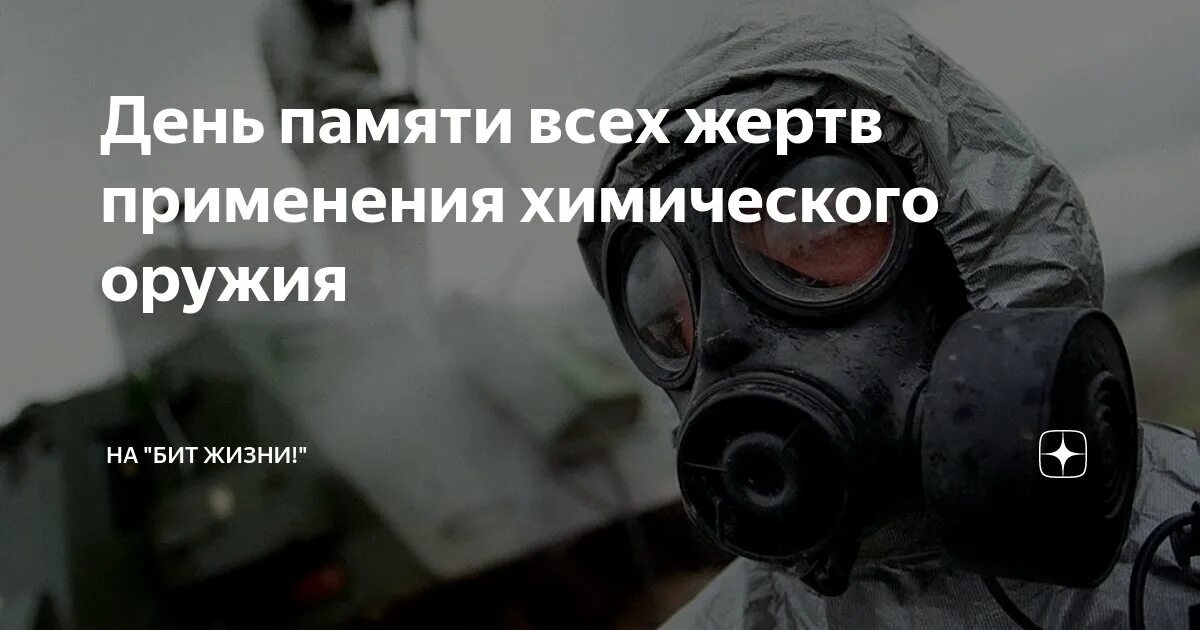 30 ноября последний день. 29 Апреля день памяти жертв химического оружия. День памяти всех жертв применения химического оружия. День жертвы химического оружия. 30 Ноября день памяти жертв химического оружия.