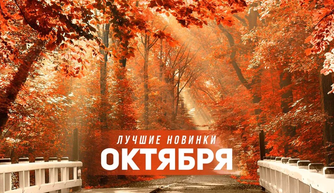 Песня шансон осень. Популярные песни осени 2024 года. Красивые песни для души ☂ отличное настроение. Популярные песни осени 2024 года. Песня шансон осень.