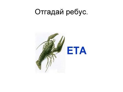 Ребус рак