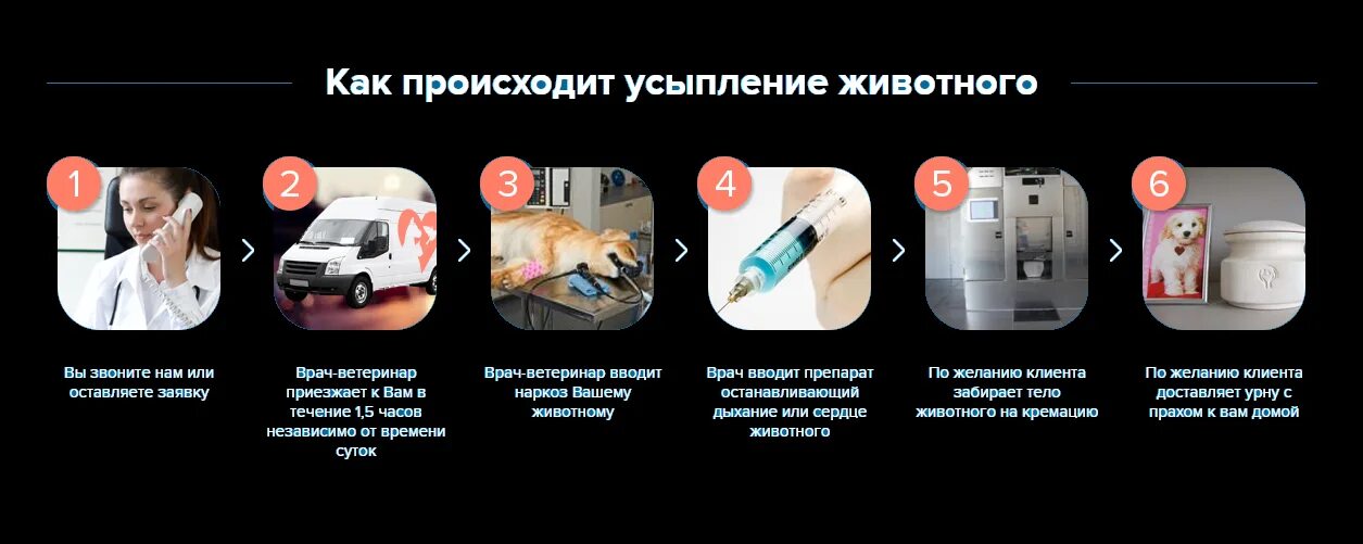 Усыпление на дому вызов. Усыпление и кремация животных в тюмени. усыпление и кремация животных. усыпление животных это грех или нет. телефон службы усыпления животных в омске.