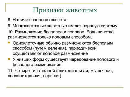 Особенности животных их признаки