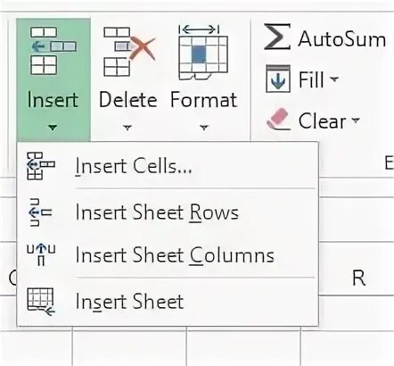 Insert cells. Insert cells