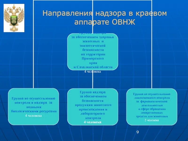 Ветеринарный надзор организации ветеринарного надзора. Направления надзора. Надзор ветеринарии. Направление направление надзора. Государственный ветеринарный надзор цель.