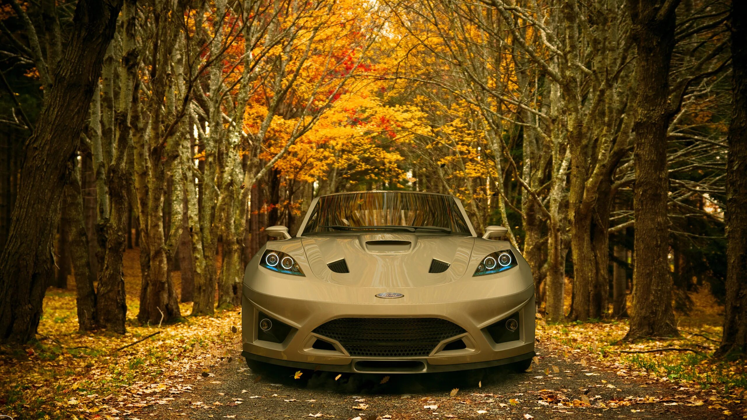 Машина в лесу. Машина в осеннем лесу. Автомобиль на природе. Обои машины.
