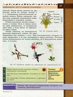 Биология 6 класс пасечник учебник страницы