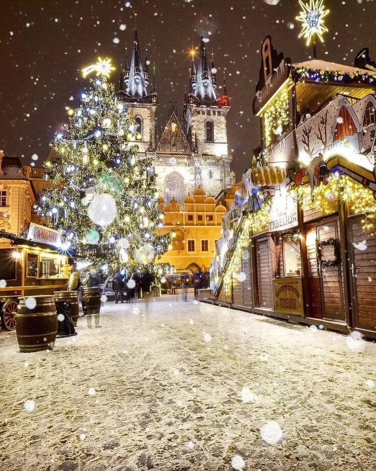 Какие зимы в европе