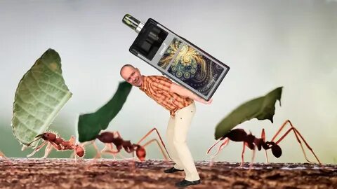 Пасито 2 пишет