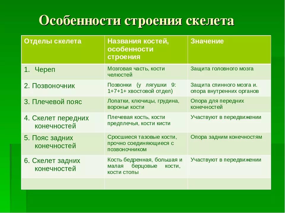 Контрольная по биологии покровы тела. Таблица отдел скелета строение функции. Таблица по биологии 8 класс скелет строение скелета функции скелета. Отдел скелета особенности строения функции таблица. Отделы скелета млекопитающих отделы.