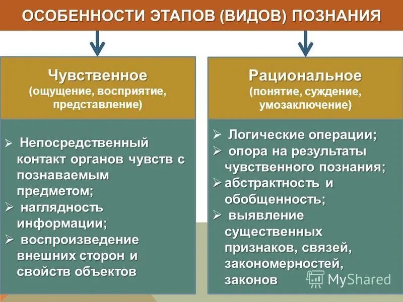 1 чувственное 2 рациональное логическое. Стадии чувственного познания. Особенности этапов познания. Этапы познания чувственное и рациональное. Характеристики чувственного этапа познания.