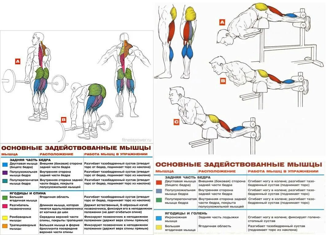 Тренировка для укрепления мышц спины в зале для мужчин программа. Упражнения для тренировки ягодиц в тренажерном зале. Упражнения на двуглавую мышцу бедра в тренажерном зале. Упражнения на ягодичные мышцы в тренажерном зале.
