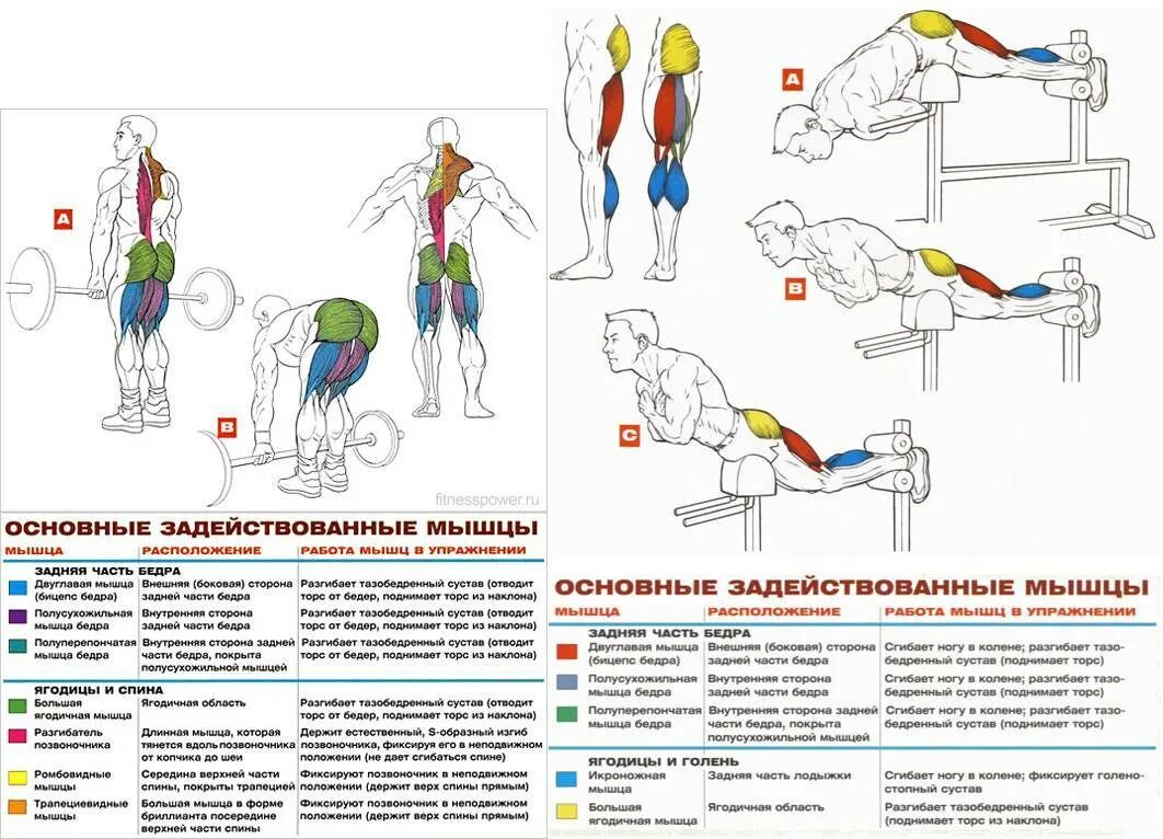 Программа тренировки спина бицепс. Тренировка для укрепления мышц спины в зале для мужчин программа. Упражнения для тренировки ягодиц в тренажерном зале. Упражнения на двуглавую мышцу бедра в тренажерном зале. Упражнения на ягодичные мышцы в тренажерном зале.