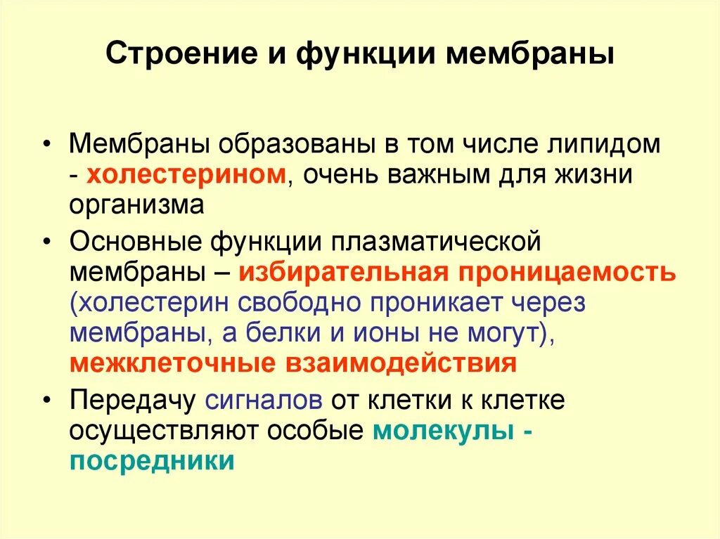 Мембрана строение и функции. Функции структур мембраны. Мембрана особенности строения и функции. Наружная мембрана функции.