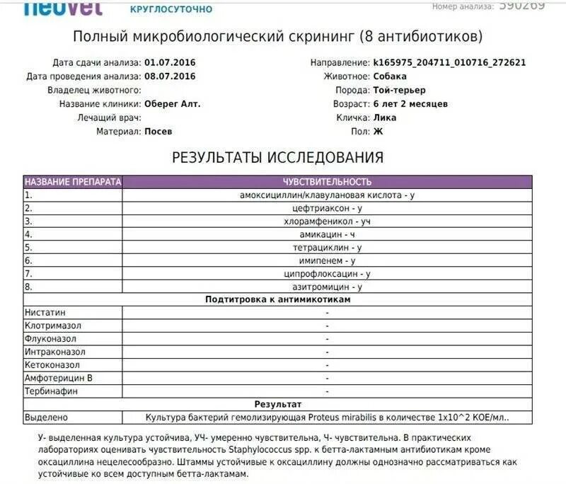 Когда можно сдавать анализы после антибиотиков. Бак посев мочи на стерильность норма. Микробиологический анализ мочи. Исследование крови на стерильность. Микробиологические исследования мочи на стерильность.