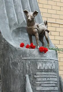 Памятник собаке лайке