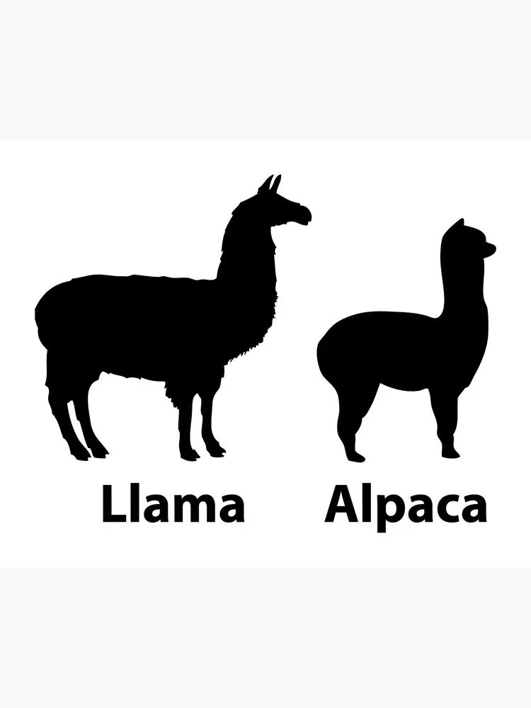 Альпака символ. Альпака эмблема. Логотип издательства альпака. Альпака логотип. Лама силуэт.