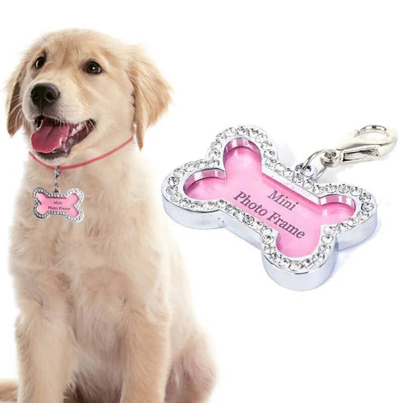 Венди собака на авито. Папильон. Йоркширский терьер боб. Собачек шей. Украшения для маленьких собачек.