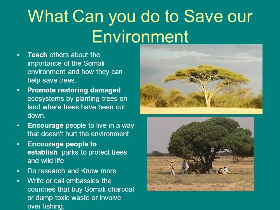What should we do to protect environment. What should we do to protect environment