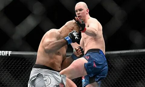 Ufc fight night видео