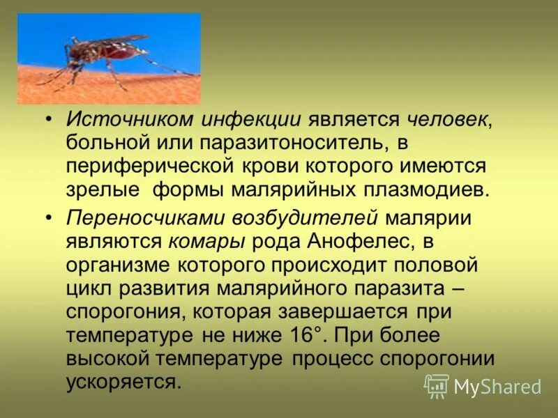 Малярийная кома чаще наблюдается при малярии. Переносчик малярии является. Переносчик малярийного плазмодия. Малярия источник инфекции.