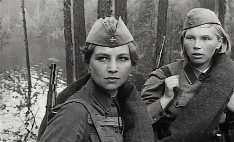 Женька зоря. Женька зоря. Комелькова а зори здесь тихие. Комелькова а зори здесь тихие 1972. А зори здесь тихие 2015 женя комелькова.