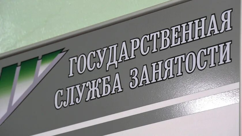 Центр занятости как работает в праздники. Центр занятости. сотрудник службы занятости. центр занятости ноябрьск. форма работников службы занятости населения.