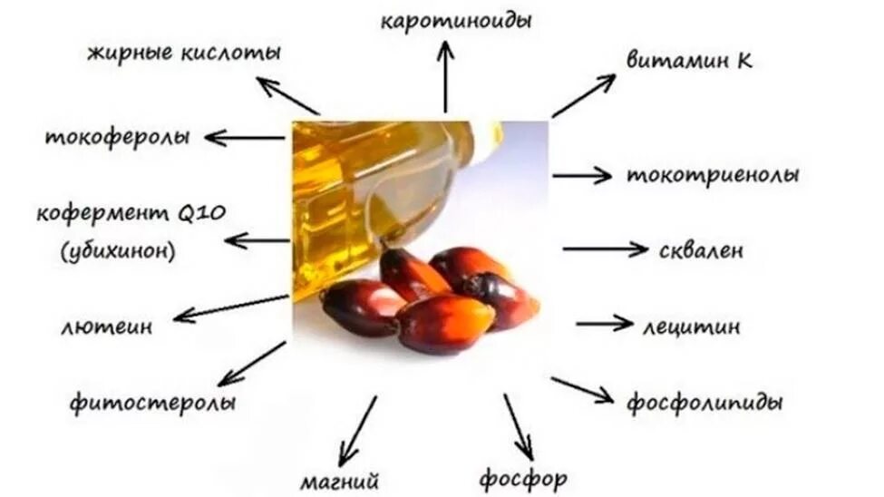 Масло вредное для организма. Состав пальмового масла. Польза пальмового масла. Разновидности пальмового масла. Масло пальмовое рафинированное дезодорированное.