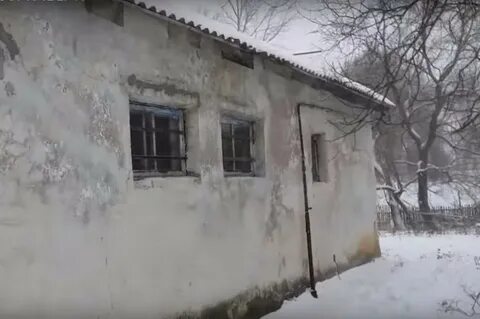 Погода кощино на 10 дней