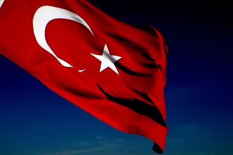Turkey sale