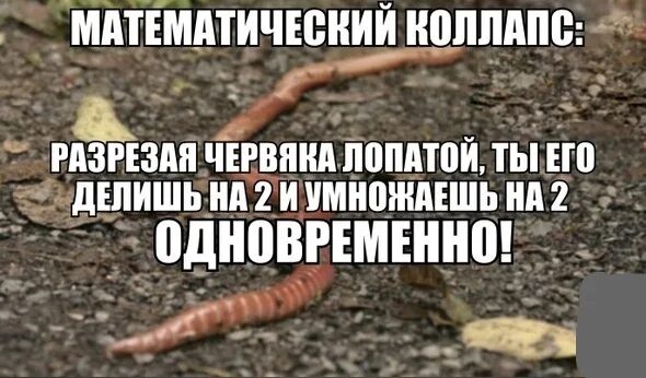 Я червяк стих. Прикольный червяк.