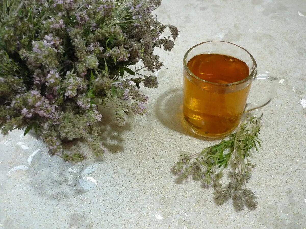 пряные травы тимьян. Thyme kekik приправа. чабрец приготовление. тимьян корень. душица обыкновенная и чабрец.