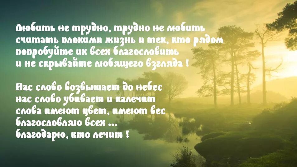 Ради моего брошенного любимого 81 глава. Любить не сложно. Любить это не трудно.