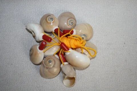 Ракушки 6