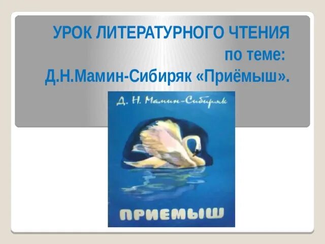 Мысль произведения приемыш. Литературное чтение мамин Сибиряк приемыш. План к рассказу д мамин Сибиряк приемыш. Урок мамин Сибиряк приемыш 4 класс школа России.