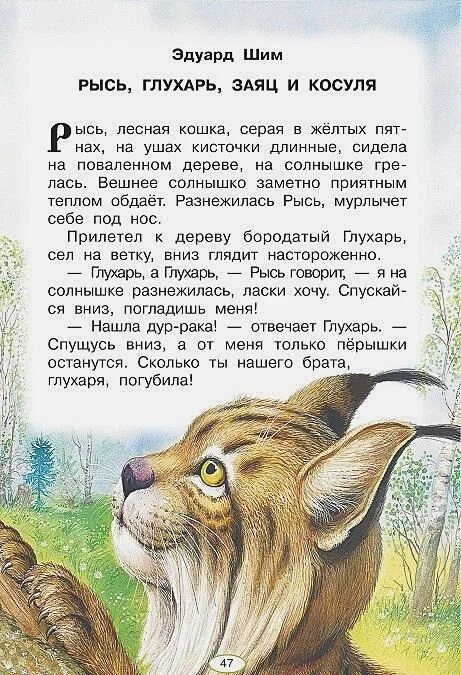 Русские народные сказки про живот. Небольшая сказка о животных. Сказки о животных. Доклад о сказках о животных. Рассказать о сказках о животных.