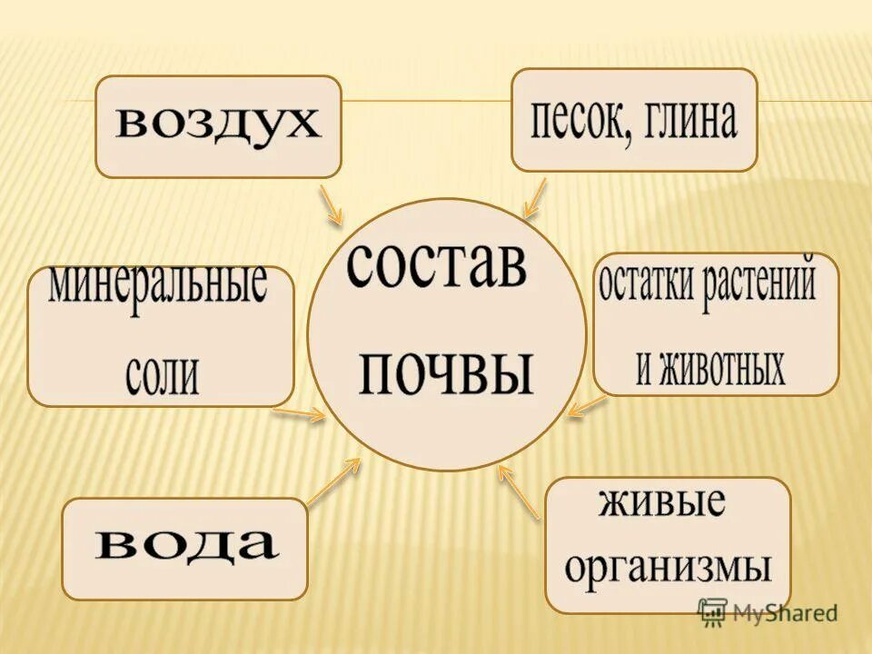 Состав почвы. Почва состав почвы. Из чего состоит почва. Состав почвы 3 класс окружающий мир. Состав почвы 6 класс география