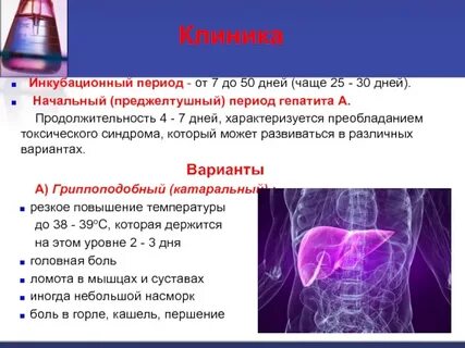 Инкубационный период острых гепатитов