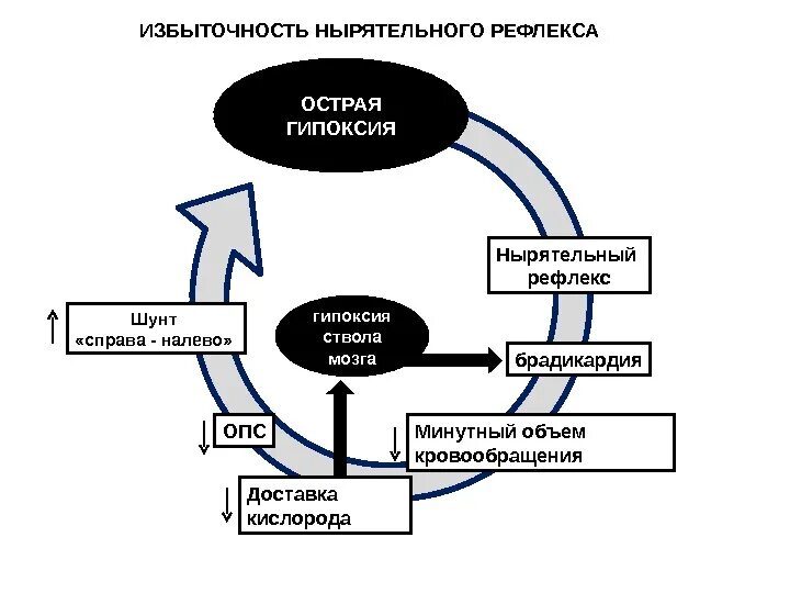 Нырятельный рефлекс.