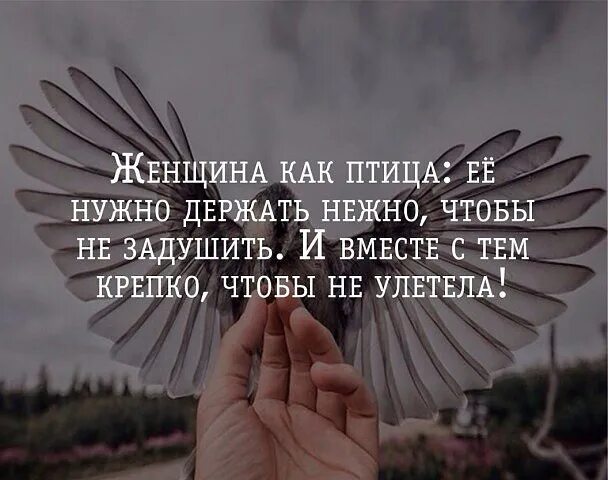 Сделаю контрольный стану птицей