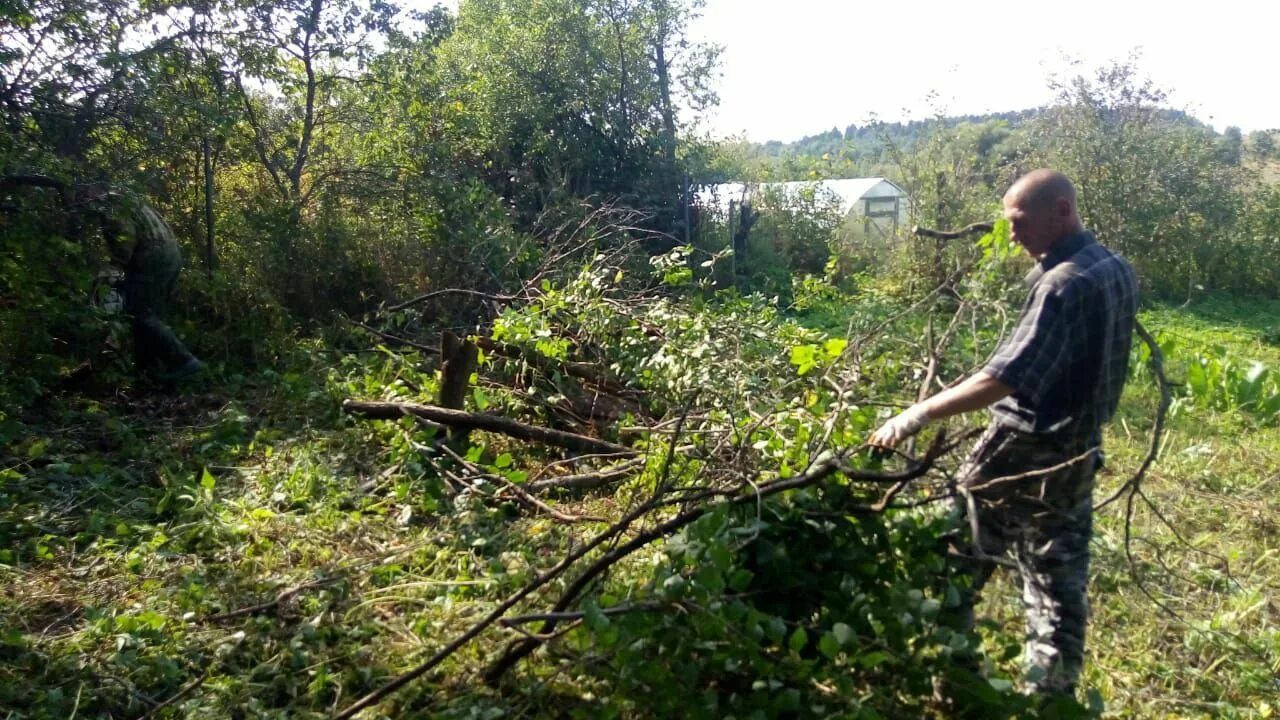 Спил кустарников. Расчистка участка от деревьев и кустарников. Вырубка кустарника. Вырубка кустарника. Вырубка деревьев на участке.