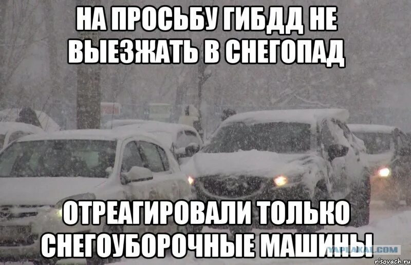 Выполнили выпал